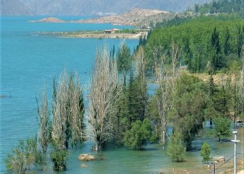 Ojo con el verano: investigadora UPLA advierte sobre riesgo de contagio en lagos y lagunas