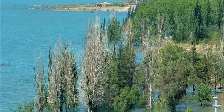 Ojo con el verano: investigadora UPLA advierte sobre riesgo de contagio en lagos y lagunas