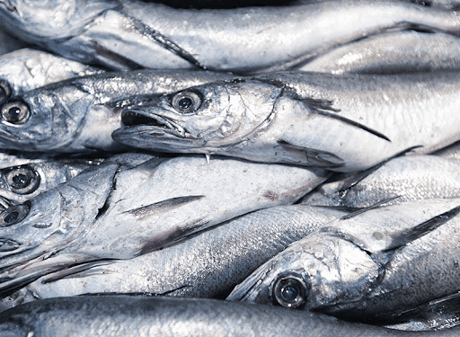 Prohibición de pesca de arrastre de la merluza es celebrada por pescadores artesanales