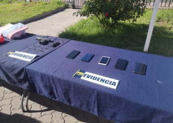 En Los Andes detienen a cuatro integrantes de banda delictual dedicada al robo de especies