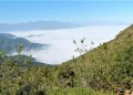 UPLA y comunidad de La Campana-Peñuelas se vinculan para protegerla de actividades productivas