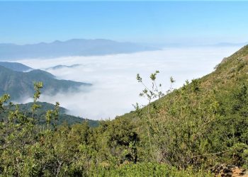 UPLA y comunidad de La Campana-Peñuelas se vinculan para protegerla de actividades productivas