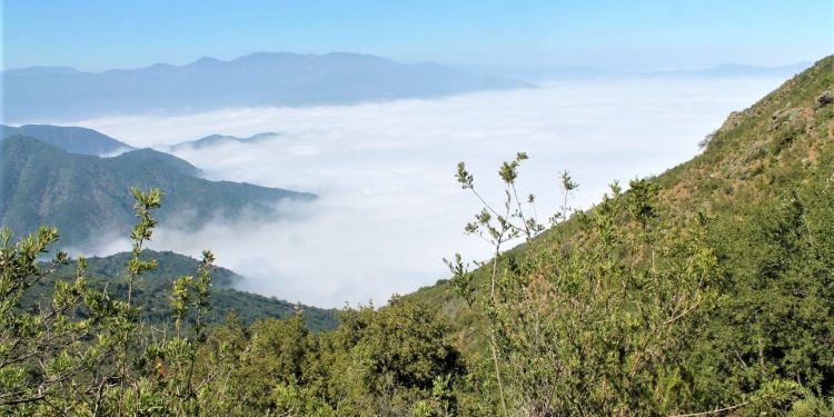 UPLA y comunidad de La Campana-Peñuelas se vinculan para protegerla de actividades productivas