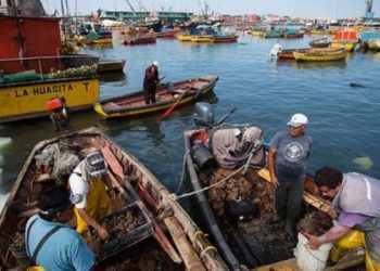 Presentan proyecto de ley “Corpesca”, que protege las primeras millas marinas en el norte del país