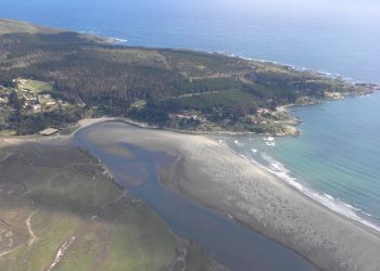 Exigen que se reconsidere retiro de la resolución para declarar Santuario de la Naturaleza a Humedal Salinas y Dunas de Longotoma