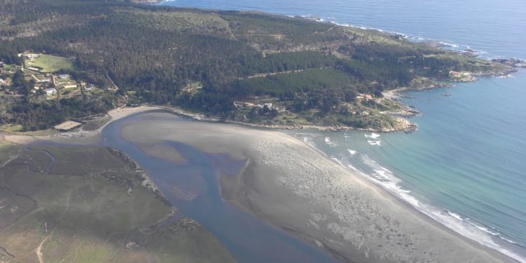 Exigen que se reconsidere retiro de la resolución para declarar Santuario de la Naturaleza a Humedal Salinas y Dunas de Longotoma