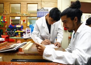 Estadísticas de empleabilidad en Chile son lideradas por Terapia Ocupacional de la UPLA