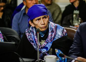 Machi Francisca Linconao presentará su candidatura constituyente tras reunir las firmas necesarias