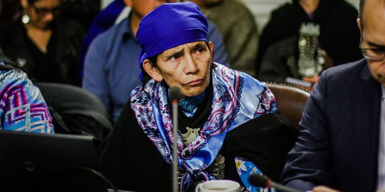 Machi Francisca Linconao presentará su candidatura constituyente tras reunir las firmas necesarias