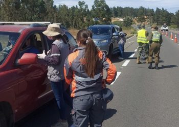 Región de Valparaíso: último día de enero tuvo 146 sumarios sanitarios en puntos de control y playas