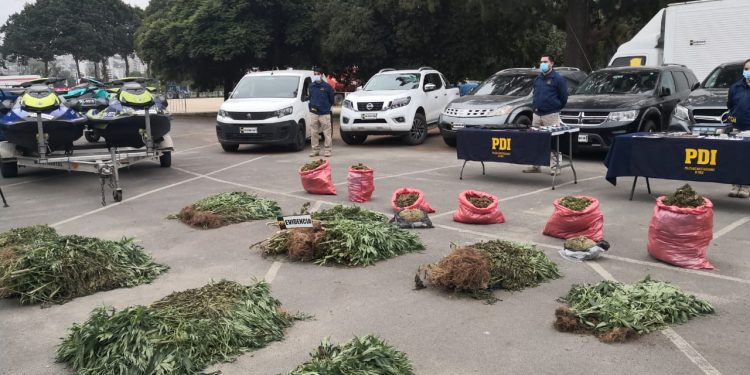 Desbaratan banda dedicada al tráfico de cannabis que operaba en cuatro regiones del país