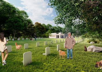 Buscan agilizar proyecto que crea Cementerio Público de mascotas en la zona