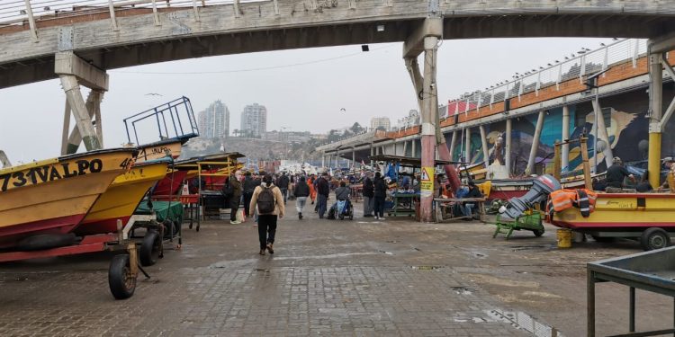 Valparaíso: pescadores de Portales celebran avance de trámite para acogerse a Ley de Caletas