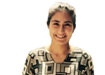 Columna de opinión: «¿Ley Cebra o Ley de la Selva?»