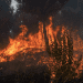 Columna de opinión: «Temporada de incendios y el desafío de la comunicación crítica»