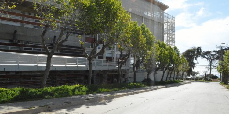 «Sello social” caracterizará a quienes estudien la nueva carrera de Ingeniería Comercial en la UPLA