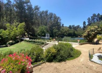 Viña del Mar: avanza creación de cementerio para mascotas en Jardín Botánico a través de alianza público-privada