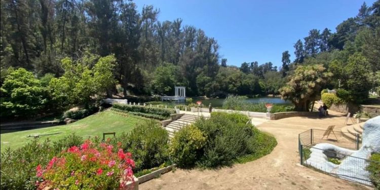 Viña del Mar: avanza creación de cementerio para mascotas en Jardín Botánico a través de alianza público-privada