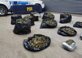 En operación «Los Pizarros» detienen a banda delictual con $364 millones en droga