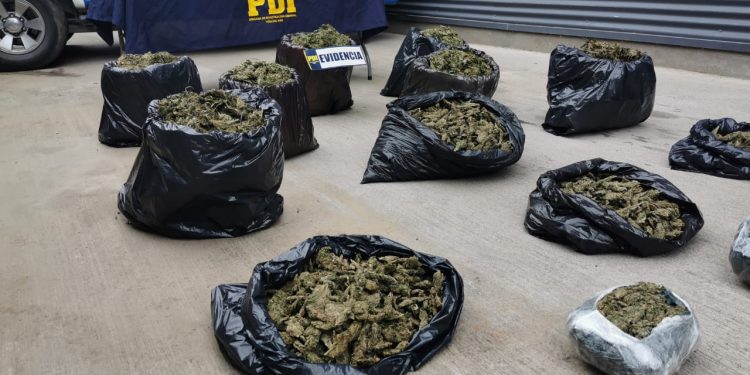 En operación «Los Pizarros» detienen a banda delictual con $364 millones en droga