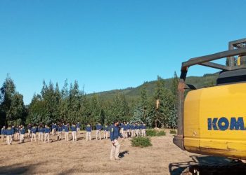 Con maquinaria pesada continúan labores de búsqueda del pequeño Tomás Bravo