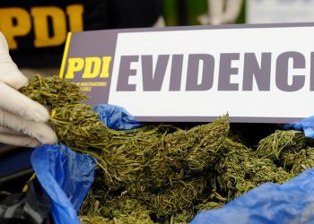 Detienen a banda dedicada a la venta de droga en Papudo