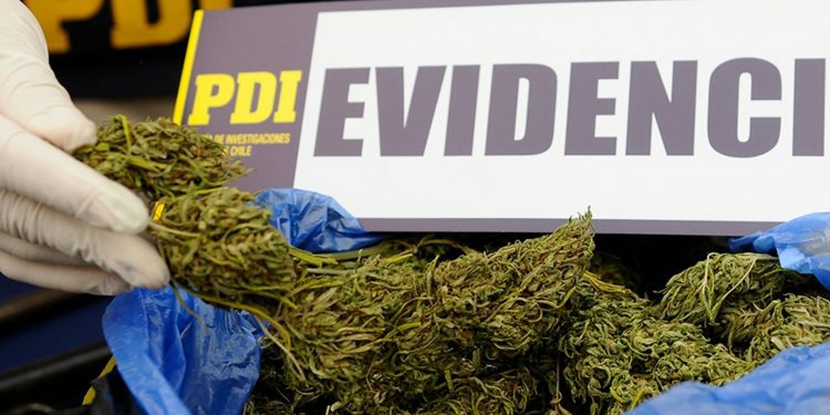 Detienen a banda dedicada a la venta de droga en Papudo