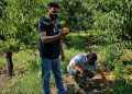 Tras sistema frontal del fin de semana INDAP evalúa daños a cultivos de agricultores de la Región de Valparaíso