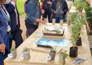 Jardines de Casa Lord Cochrane serán abiertos gracias a proyecto medioambiental y comunitario en cerro Cordillera de Valparaíso