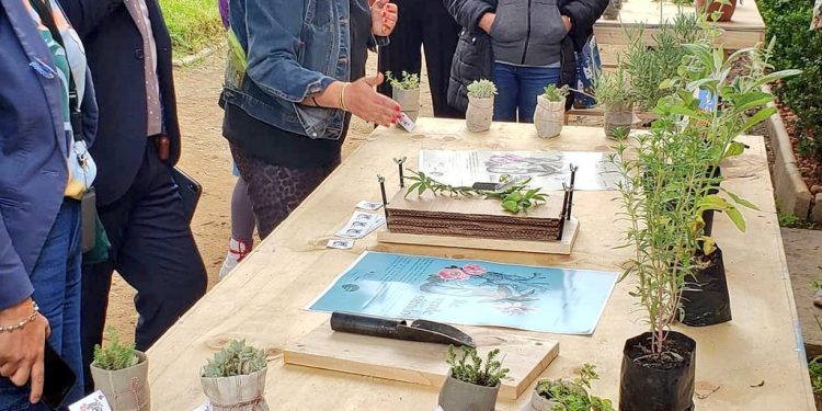 Jardines de Casa Lord Cochrane serán abiertos gracias a proyecto medioambiental y comunitario en cerro Cordillera de Valparaíso