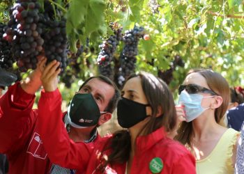 Ministerio de Agricultura declara emergencia agrícola para las provincias de San Felipe y Los Andes en la Región de Valparaíso