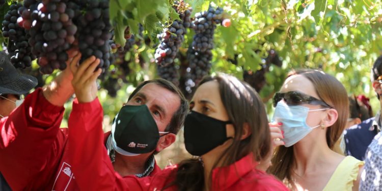 Ministerio de Agricultura declara emergencia agrícola para las provincias de San Felipe y Los Andes en la Región de Valparaíso