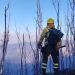 En su día: Conaf resalta labor de más de 400 brigadistas que luchan contra el fuego en la Región de Valparaíso