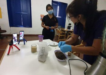 Programa de telerehabilitación para pacientes con artrosis es implementado por profesionales de SaludQuillota