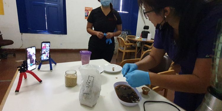 Programa de telerehabilitación para pacientes con artrosis es implementado por profesionales de SaludQuillota