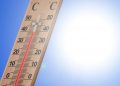 Columna de opinión: «Golpes de calor y tensión del sistema sanitario»