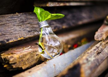 Ronda de negocios en economía circular será el punto de encuentro para impulsar una reactivación sostenible en Chile