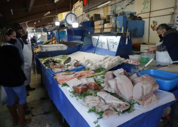 En la previa de Semana Santa realizarán PCR gratuitos y entregarán kits sanitarios a pescadores de caletas Portales y El Membrillo de Valparaíso