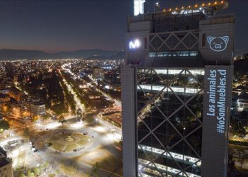 Más de 150 candidaturas constituyentes suma acuerdo para incluir a los animales en la Nueva Constitución