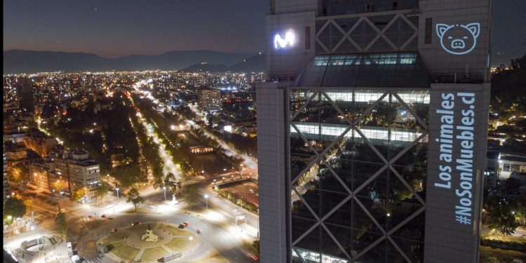 Más de 150 candidaturas constituyentes suma acuerdo para incluir a los animales en la Nueva Constitución