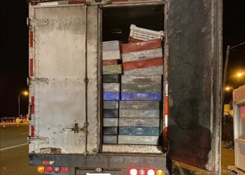 En Valparaíso Red Sustenta detecta transporte ilegal de productos sin acreditación de origen legal