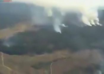 Valparaíso en Alerta Roja por incendio forestal en Reserva Lago Peñuelas