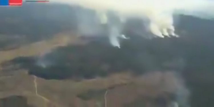 Valparaíso en Alerta Roja por incendio forestal en Reserva Lago Peñuelas