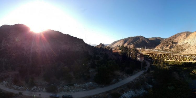 Región de Valparaíso: avanza proyecto de primer Cementerio Público de Mascotas