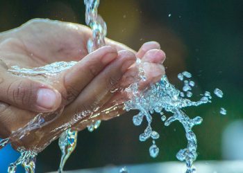 Columna de opinión / «Día del agua: el derecho de beber en paz»