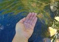 Colliguay: estudiantes de la UPLA evaluaron la calidad del agua subterránea del lugar