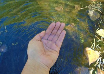 Colliguay: estudiantes de la UPLA evaluaron la calidad del agua subterránea del lugar