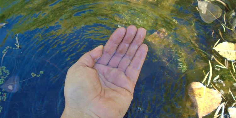 Colliguay: estudiantes de la UPLA evaluaron la calidad del agua subterránea del lugar