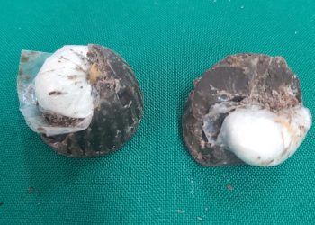 Romántica mujer intentó entregar bombones rellenos con pasta base a su pareja presa en la cárcel de San Antonio