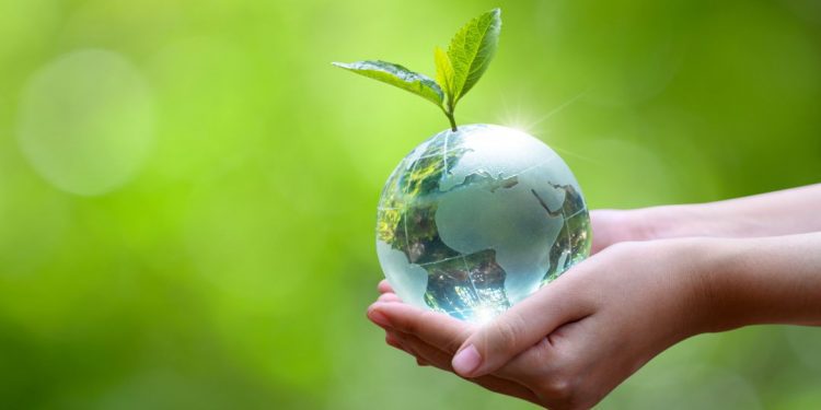 Columna de opinión: «Día de la Tierra, un llamado a actuar»